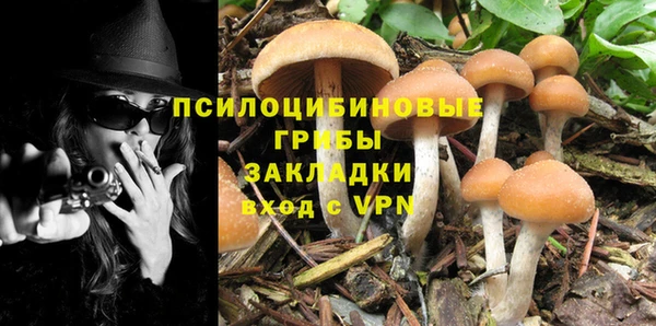 бошки Алексин