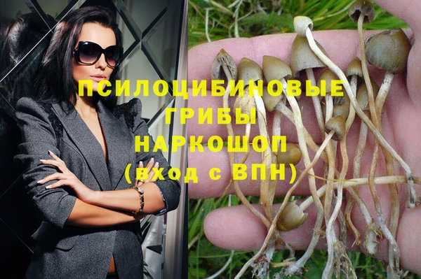 экстази Алексеевка