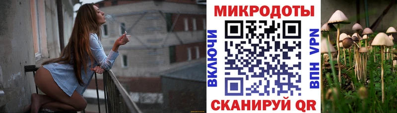 купить закладку  Таруса  Псилоцибиновые грибы мицелий 